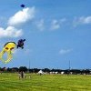Kite-Flying picnic