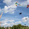 Let Your Spirit Soar – Come Fly a Kite!