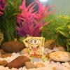 Building a Community Aquarium